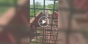 Випадок на залізниці в Індії