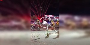 A simple tree felling resulted in bruises for a firefighter