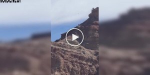 Everyone thought he wouldn't get up: a freerider's horrific fall