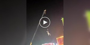 Акробатка впала з висоти під час вистави