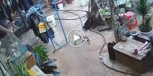 Плохо прицелился