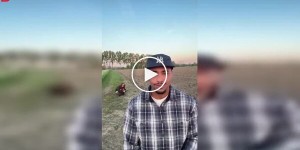 Пісня на камеру та несподіване тло