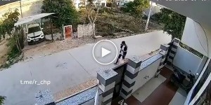 Нападение бездомных собак на девушку в Индии
