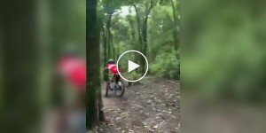 На переднем колесе в дерево