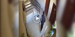 Карма спрацювала миттєво: жінка штовхнула кота і тут же впала