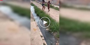 Коли сила зустрічає спритність