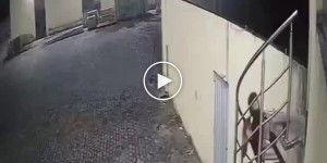 Неудачная попытка ограбления склада