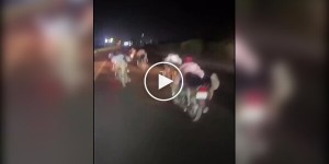 Сколько же их в одном месте собралось