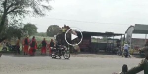 A horse attacked an elephant in India