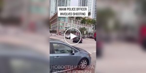 Хотел прокатить полицейского на капоте, но забыл, что находится в США