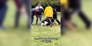 Парень спас собаку с помощью пальца
