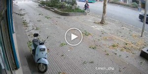 Destination Chinese style