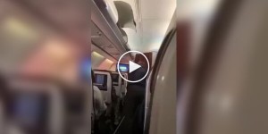 An airplane passenger punched a fellow passenger in the face for stealing a bag