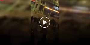 Собака случайно укусила полицейского